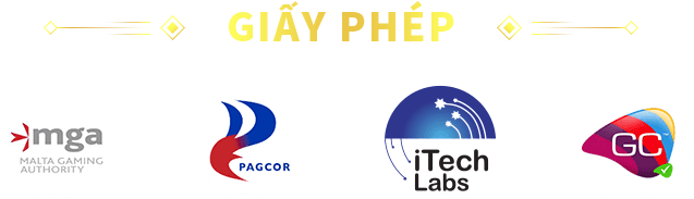 giay-phep-ok365