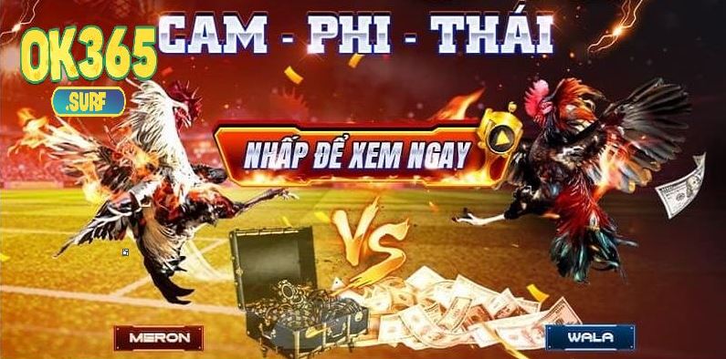 Cá cược đá gà Ok365 có mức thưởng cao