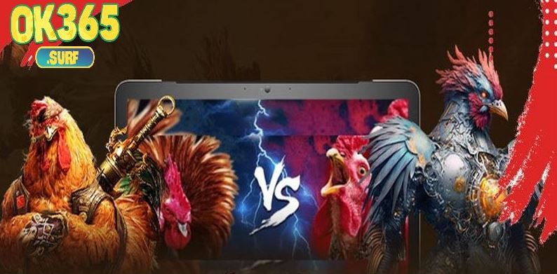 Chuyên mục giải trí cá cược hấp dẫn hàng đầu tại Ok365