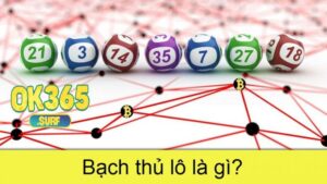 Bạch thủ lô là gì?