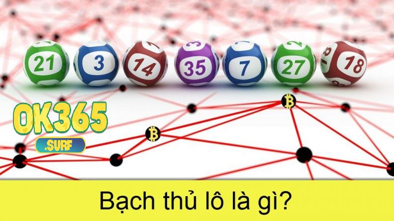 Bạch thủ lô là gì?