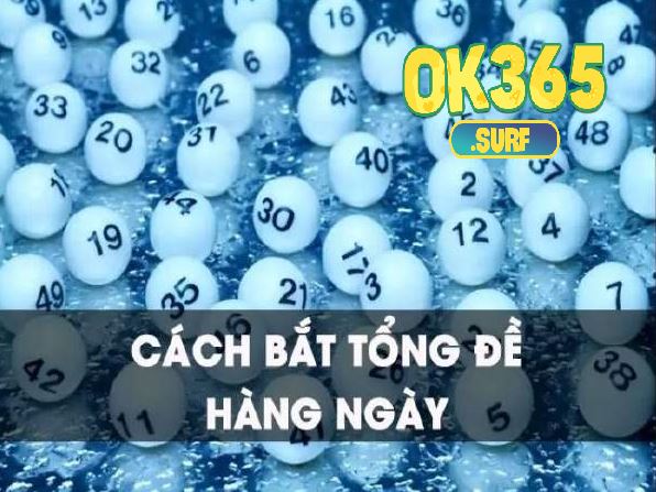 Tìm hiểu về tổng đề miền Bắc