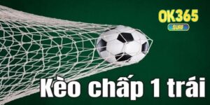 Tìm hiểu về khái niệm kèo chấp 1 trái là sao?