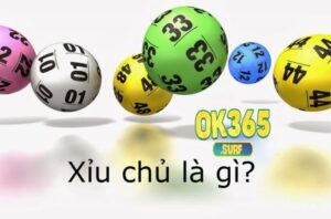 Xỉu chủ là gì ?